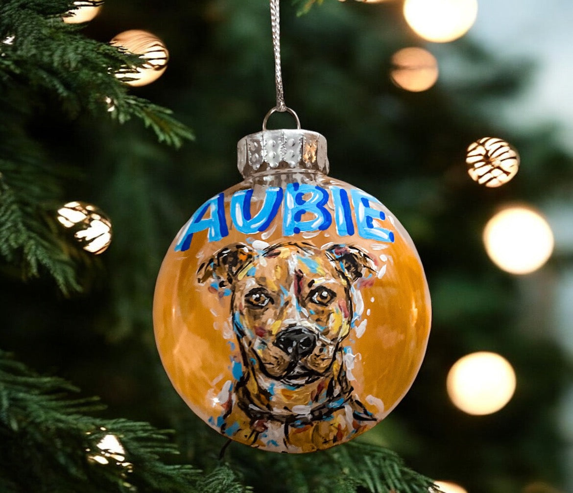 Custom Pop Art Pet Ornaments