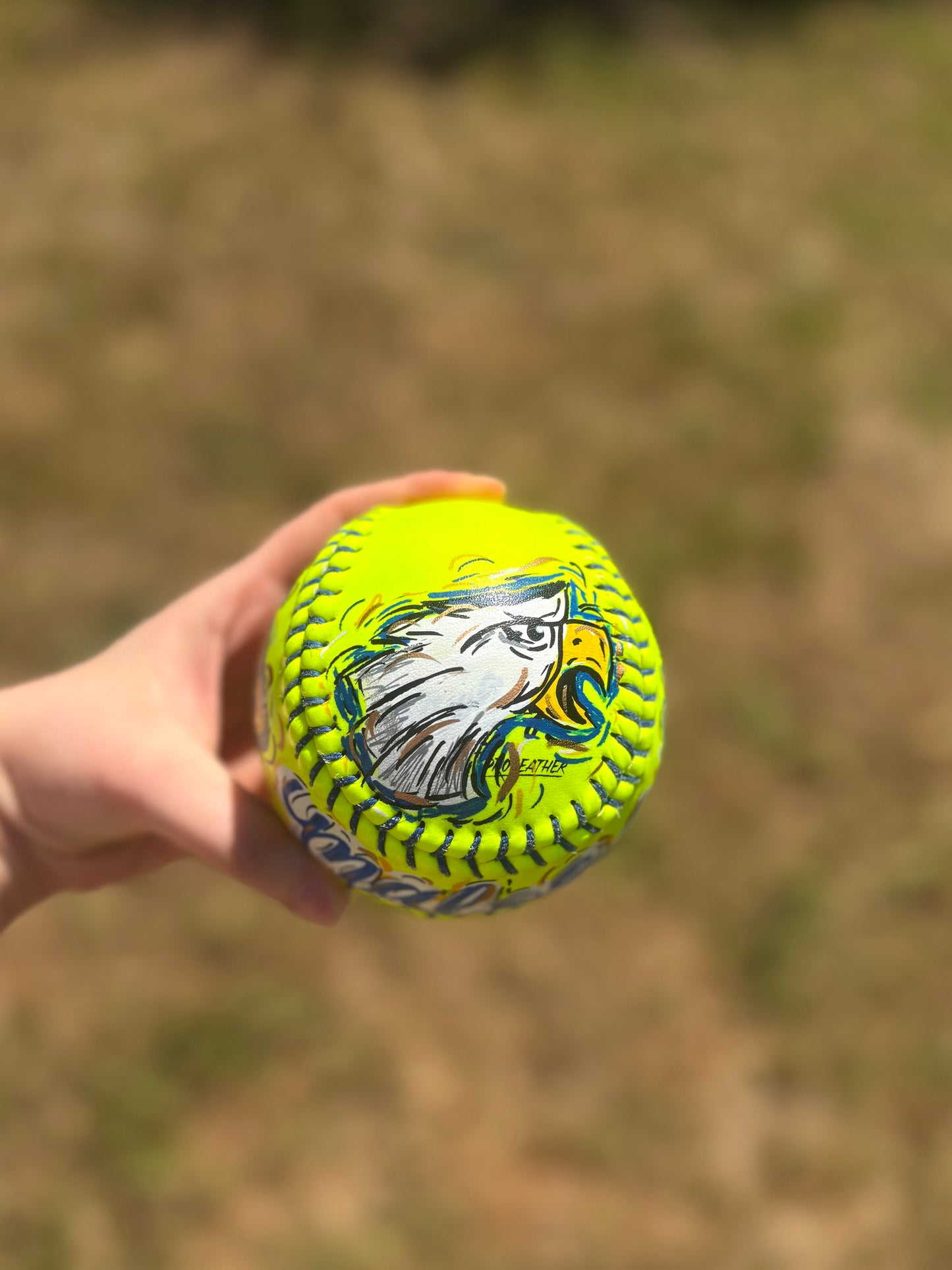 Custom Hand-Painted Softball